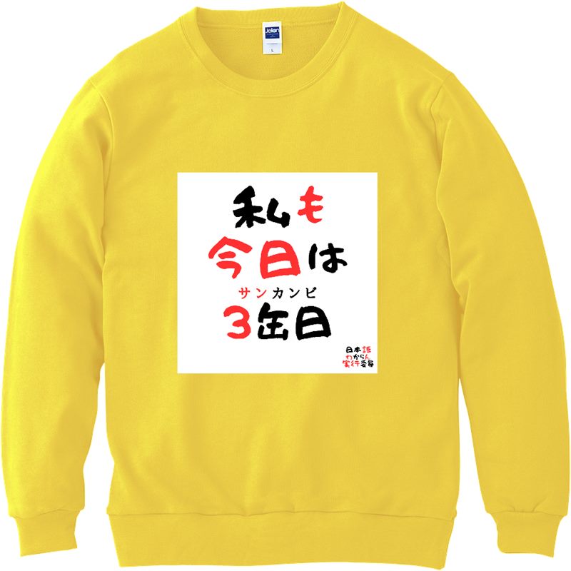 Lightweight Sweatshirt